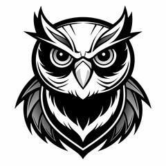 Obraz premium owl vector and illustration 