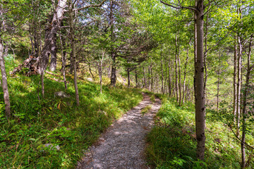 Fototapeta premium Camins del GR11