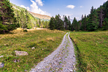 Camins del GR11 🇵🇱 