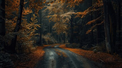 Autumnal Forest Path