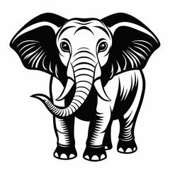 elephant vector and illustration