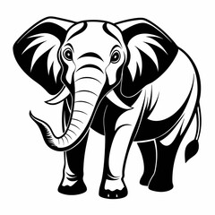 elephant vector and illustration