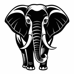 elephant vector and illustration