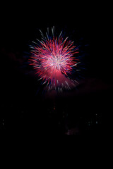  Beautiful fireworks in the night sky #95