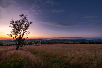 Naklejka premium Tree with sunset in Krusne mountains in evening in Nova Ves v Horach village