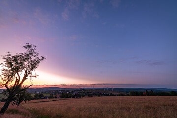 Tree with sunset in Krusne mountains in evening in Nova Ves v Horach village