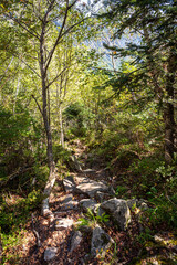 Fototapeta premium Camins del GR11 🇵🇱