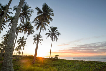 Tropical beach