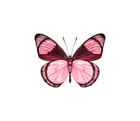 Fototapeta premium Print