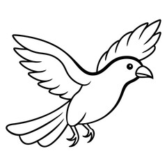 eclectus parrot bird flies icon vector