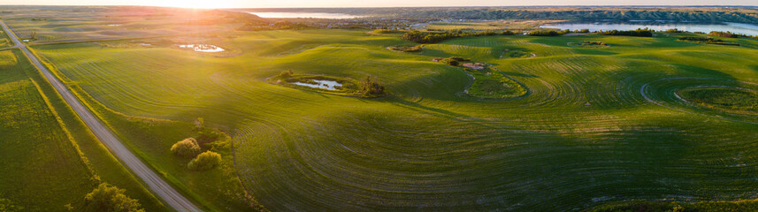 An aerial view of a bright green farm field with a row of trees that are casting long shadows. A rural road runs along the right side of the image.
