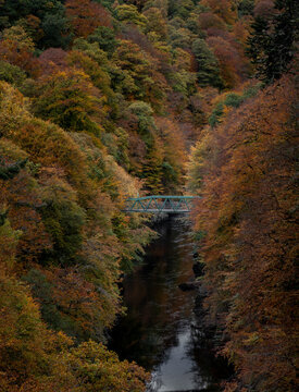 Footbridge over River Garry near Linn of Tummel, Scotland, surrounded by trees in autumnal colours