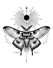 Luna Moth | Detailed Decorative Insect SVG | Black Line Art