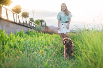 Woman is walking with cocker spaniel dog