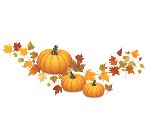 halloween pumpkins and autumn leaves isolated on white, fall
