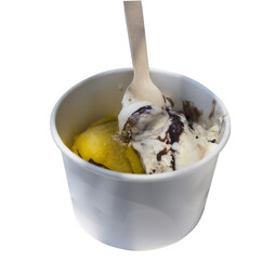 mango and vanilla ice cream with chocolate