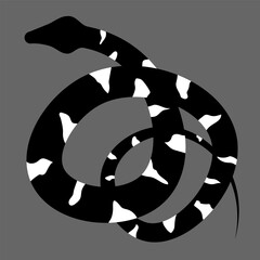 Black and white silhouette snake. Isolated symbol on grey background. Rounded reptile vector illustration. Dangerous wildlife animals in garden. Black snake with white spots. Eps 10 clipart draw. 