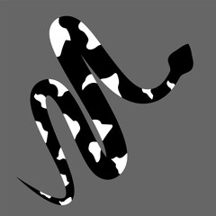 Black and white silhouette snake. Isolated symbol on grey background. Zig zag reptile vector illustration. Dangerous wildlife animals in garden. Black snake with white spots. Eps 10 clipart draw. 