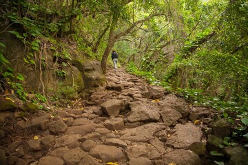 A woman hiker on the Kalalau trail,11 miles of hiking along the Na Pali Coast on the North Shore of the island of Kauai