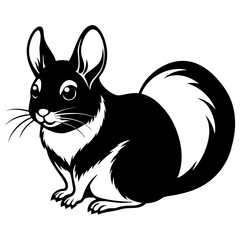 Obraz premium black and white squirrel