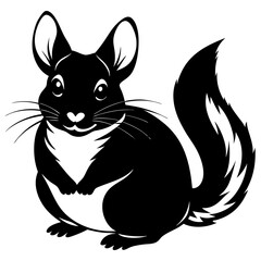 black and white squirrel
