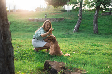 cocker Spaniel dog having fun and playing with young beautiful woman