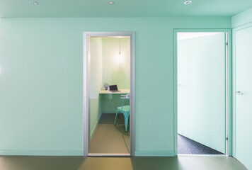 Cozy and Soundproof Green Office Retreat
