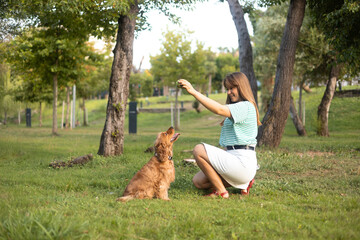 cocker Spaniel dog having fun and playing with young beautiful woman