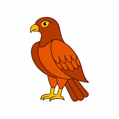 bird on a white background