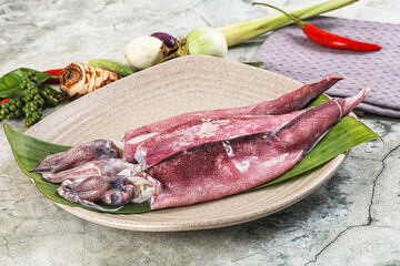 Fresh raw aquid in the plate