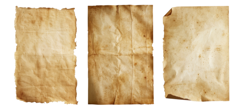 PNG Set Organic Old Wrinnkled Paper Blank Texture Mockup Isolated On Transparent Background