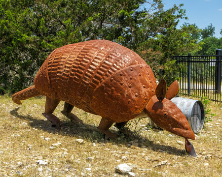 Armadillo statue on Fitzhugh, Rd.