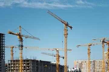 Fototapeta premium Many high-rise cranes against the backdrop of a construction buildings.