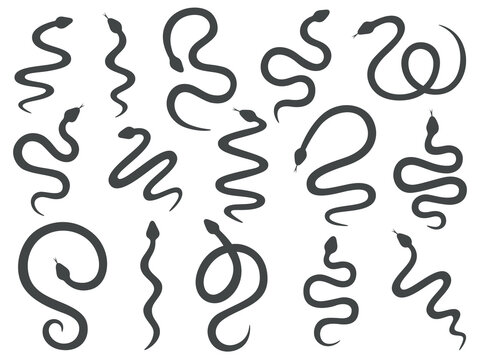 Snake silhouettes set. Black color snakes with different shapes. Wild animals or nature theme. Vector illustration on white background.