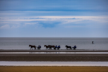 Trot attelé sur la plage de Cabourg