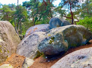 huge boulders in the forest of Fontainebleau in France