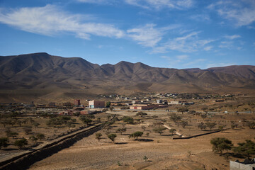 Desert Oasis with Mountain Backdrop