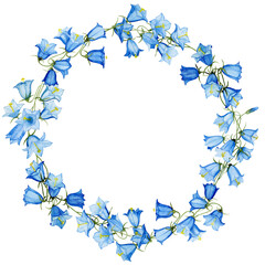Hand drawn illustration, wreath, watercolour bluebells. Isolated object-140.