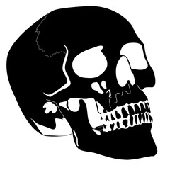 Inverted Skull