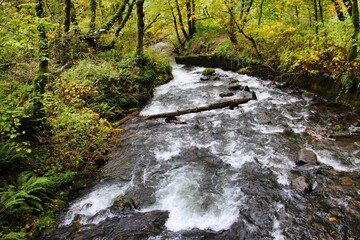 Bridal Veil Creek near Bridal Veil Falls in the Columbia River Gorge near Portland Oregon.