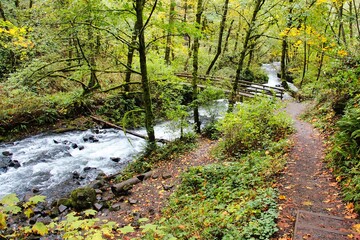 Bridge and Trail to Bridal Veil Falls in the Columbia River Gorge Near Portland Oregon.