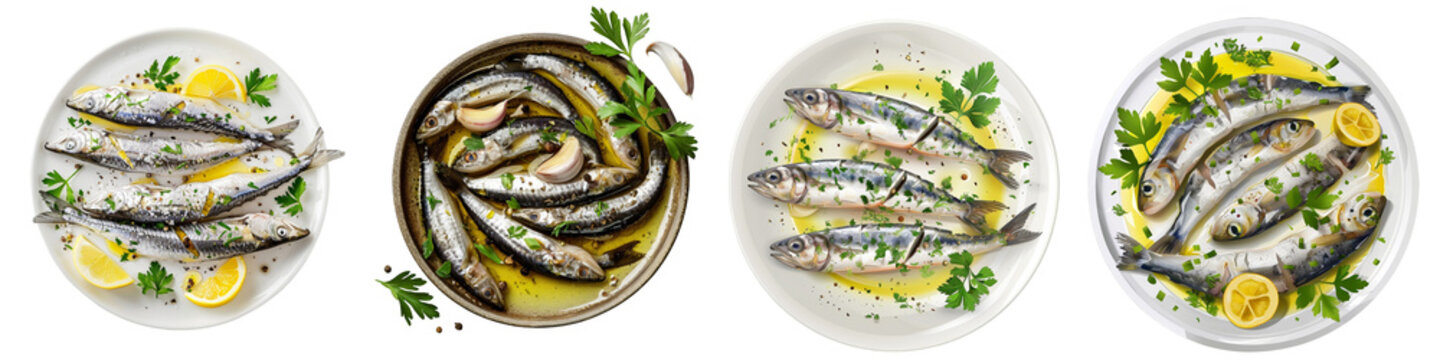 Boquerones en Vinagre or Anchovies Marinated in Vinegar clipart collection, symbol, logos, icons isolated on transparent background