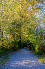 Matsqui Trail along the Fraser River bank near Mission Bridge, Fraser Valley, BC, Canada