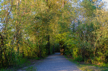 Matsqui Trail along the Fraser River bank near Mission Bridge, Fraser Valley, BC, Canada