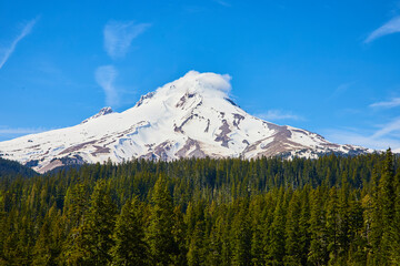 Fototapeta premium Mount Hood Snow-Capped Peak and Evergreen Forest Midday View