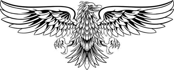 Eagle Line Art Illustration