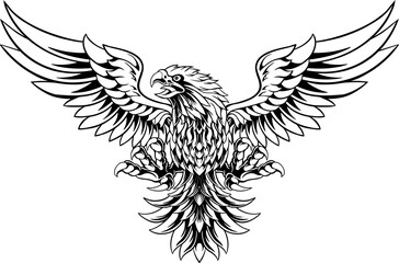Eagle Line Art Illustration