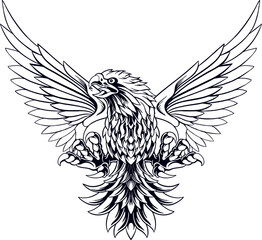 Eagle Line Art Illustration