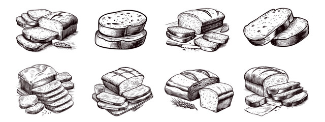 Bread sketches. Breads loaf cut toasts retro sketch drawing, vintage kitchen menu wheat grain rye cereal pastry engraving ink art set vector illustration