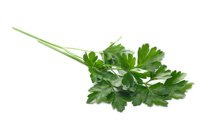 Fresh green celery pile isolated on white background